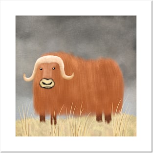 Musk Ox Illustration Posters and Art